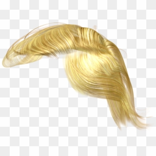 Donald Trump Hair Png - Transparent Trump Hair Clipart