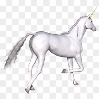 Free Png Download Full White Unrn Right Leg Up Png - Unicorn Clipart