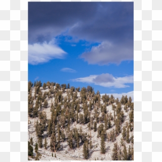 Cycling Up White Mountain Clipart