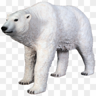 Oso Polar Png - Figuras De Oso Polar Clipart