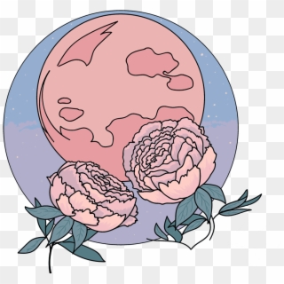 Peony Moon, 2018 Gonna Make A Pin Of This Design I - Garden Roses Clipart