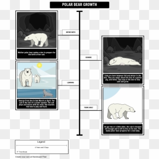 Where Do Polar Bears Live Polar Bear Growth - Polar Bear Life Timeline Clipart