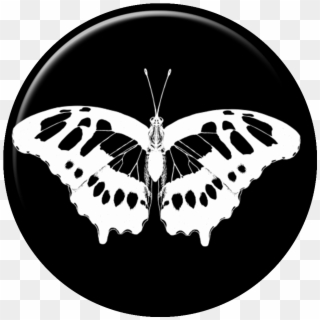Pb07-01 - Swallowtail Butterfly Clipart