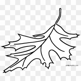 Red Oak Tree Leaves Clipart - Coloring New Jersey State Tree - Png Download