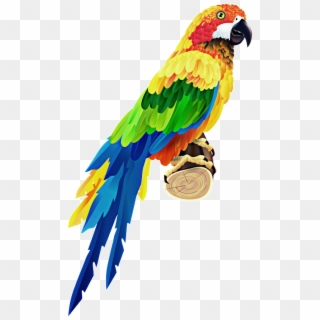 Colorful Parrot Clipart