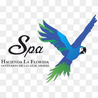 ☰ - Spa Hacienda La Florida Clipart