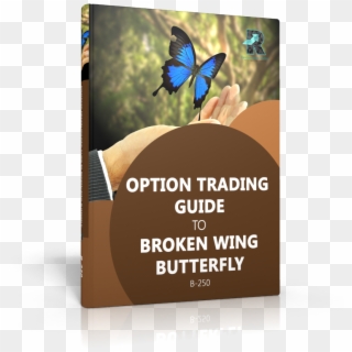 Powerful Option Trading Guide To Broken Wing Butterfly - Goede Voornemens Clipart