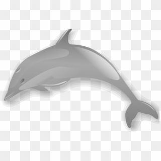 Dolphin Enrique Meza C 02 Clip Art Download - Dolphins Animal No Background - Png Download