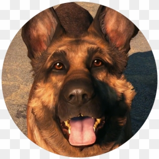 Dogmeat - Dogmeat Fallout 76 Clipart