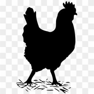 Chicken Clipart Track - Hen Black And White - Png Download