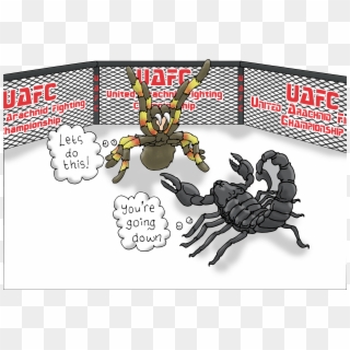Ufc Scene - Cartoon Clipart