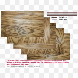The Outer Plies Are Generally Of A Higher Quality Than - Plywood Clipart