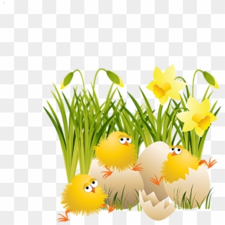 Easter Chick Images Transparent Clipart