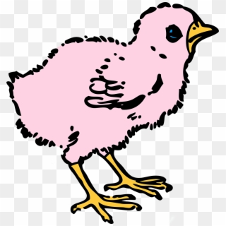 Easter Colored Chick Spring Png Image - Baby Chicken Clipart Black And White Transparent Png