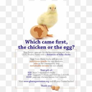 Easter 2018 Png - Chicken Clipart