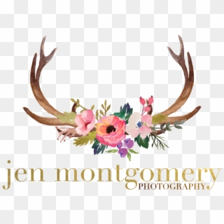 Transparent Clipart - Png Download