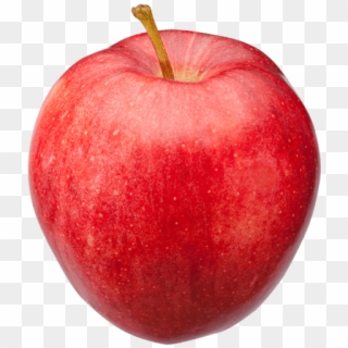 Large Picture Of Apple Clipart