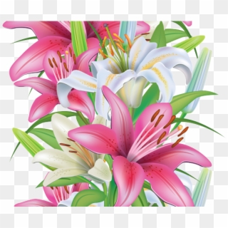 Stargazer Lily Cliparts - Clip Art - Png Download