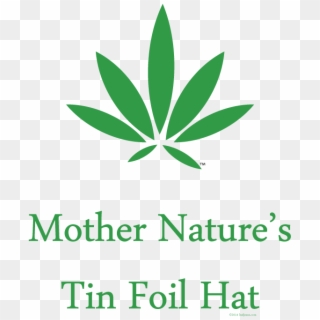 "mother Nature's Tin Foil Hat" - Military Rank Clipart