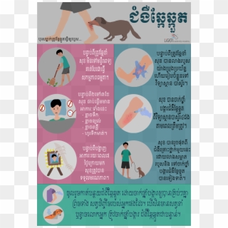 The Educational Poster About The Treatments For Your - Kangaroo Clipart