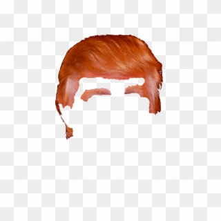 Trump Hair Transparent Background Clipart