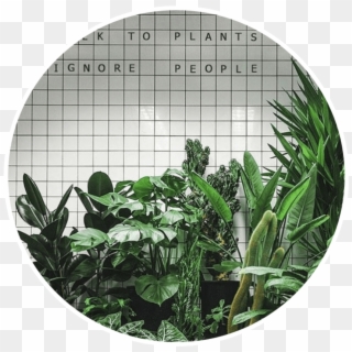 Greenaesthetic Green Aesthetic Plants - Talk To Plants Ignore People Clipart