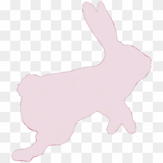 #rabbit #bunny #hare #pink #sticker #hop #hopping #jump - Domestic Rabbit Clipart