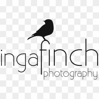 Atlanta & Tallahassee Wedding And Portrait Photographer - Fish Crow Clipart
