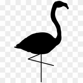 Black And White Flamingo Silhouette Standing On One - Black Swan Clipart