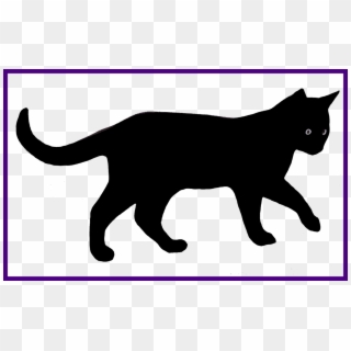 Best Of Walking Cat Org Animal Pics - Transparent Background Image Cat Png Clipart