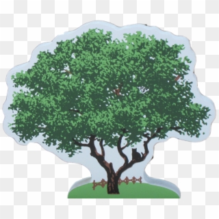 Live Oak Tree Clipart