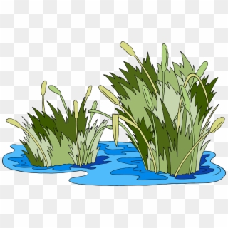Swamp Vector Marsh Grass - Pantano Png Clipart