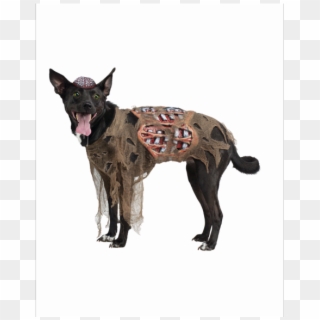 9 Zombie - Hellhound Costume For Dogs Clipart