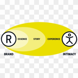 We Used Our Brand Intimacy Framework To Illuminate - Circle Clipart