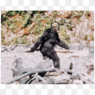 Last Known Sighting Of Sam Hyde - Bigfoot Wikipedia Clipart