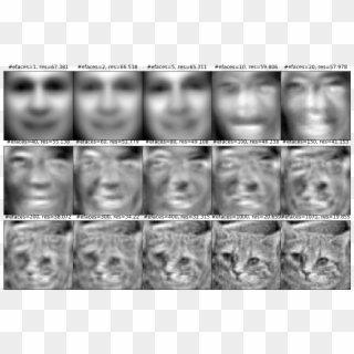 Face Detection - Pca Images Python Faces Clipart