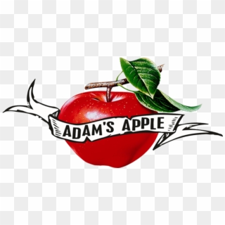 Celery Sticks - Adams Apple Food Clipart