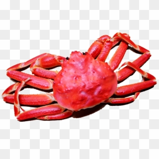 Vector Library Library Seafood Clipart Crab Meat - ず から 始まる 言葉 - Png Download