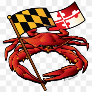 Bleed Area May Not Be Visible - Maryland Old Bay Crab Flag Clipart