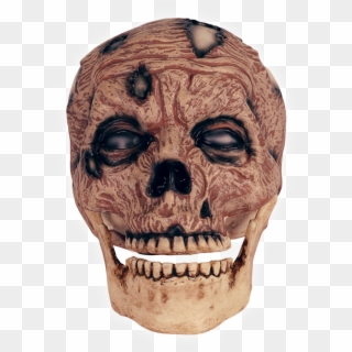 Zombie Head Png - Skull Clipart