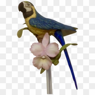 1987 Franklin Mint, Tropical Birds And Flowers Series, - Macaw Clipart