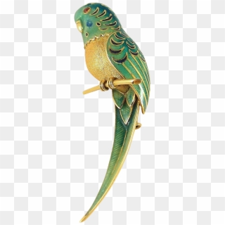 #birdofinstagram Three Dimensional #parrot Brooch In - Budgie Clipart