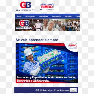 Training And Development - Grupo Bimbo University Clipart