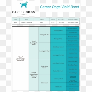 Bond Pedigree Career Dogs' Bold Bond Clipart