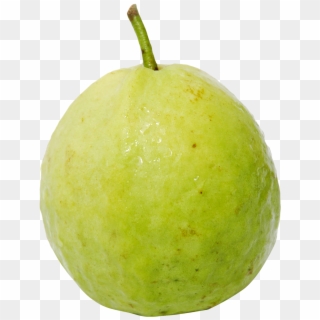 Guava Png - Png Image Of Guava Clipart