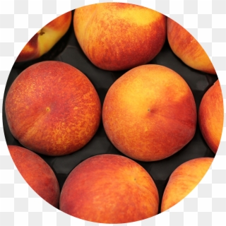 Purcell International Can Supply A Variety Of Shelf - Us Peaches Clipart
