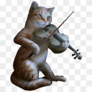 Кот Играет На Скрипке Анимации Clipart