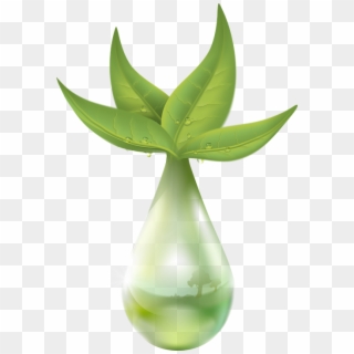 Extraction Plant Liquid Drop Of Water Leaf Green - Plant Extract Png Clipart