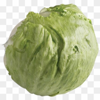600 X 574 9 - Head Of Lettuce Png Clipart