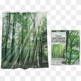 Plastic Shower Curtain - Zasłonka Pod Prysznic Clipart